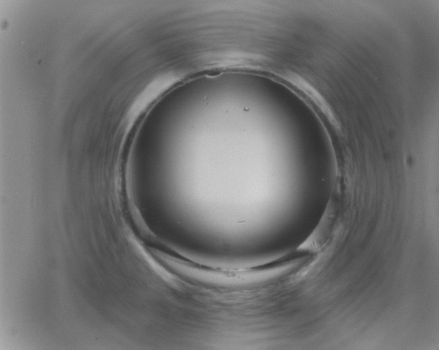 X0000066121285200603171744