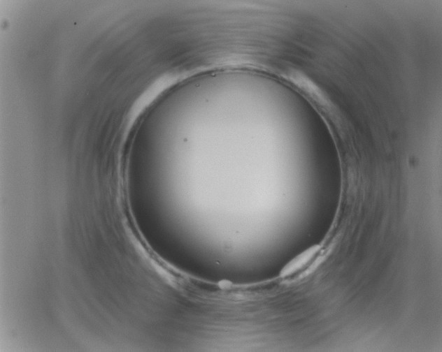 X0000066121286200603171744