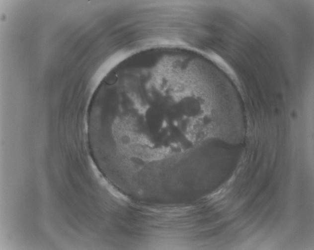 X0000066121287200603171744