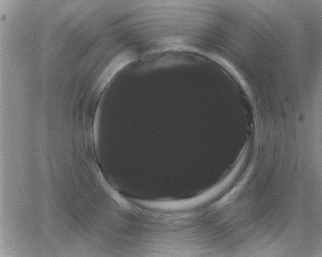 X0000066121289200603171744