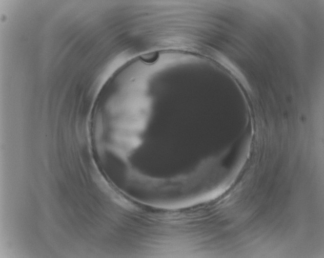 X0000066121291200603171744