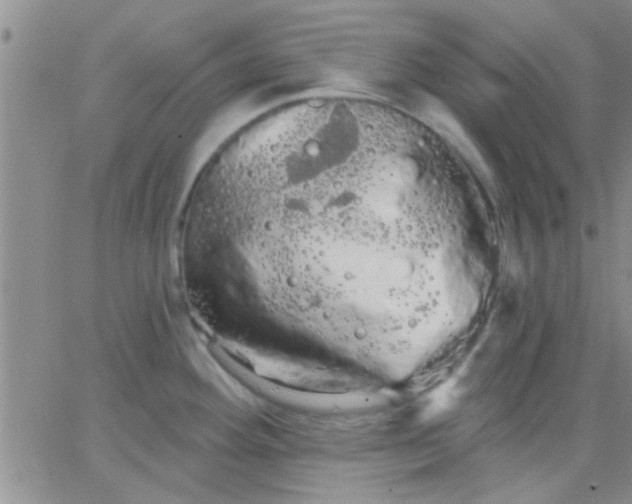 X0000066121292200603171744