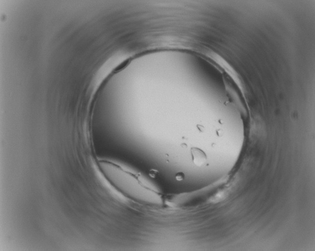 X0000066121293200603171744