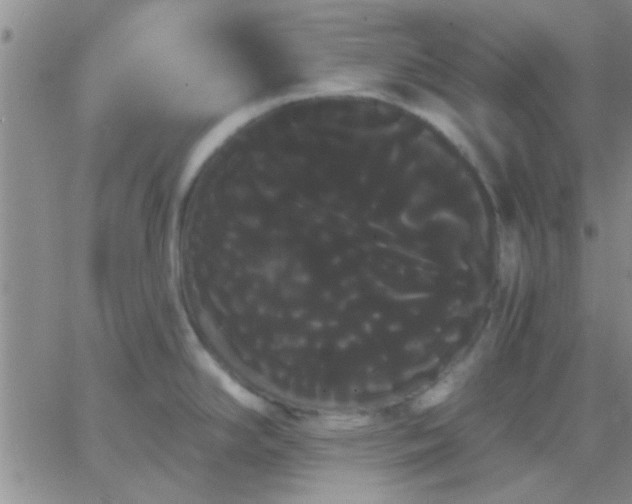 X0000066121294200603171744