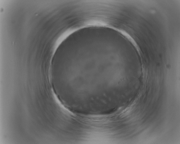 X0000066121295200603171744