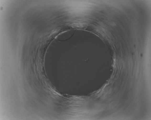 X0000066121297200603171744