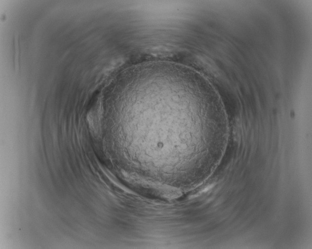 X0000066121298200603171744