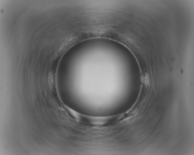 X0000066121299200603171744