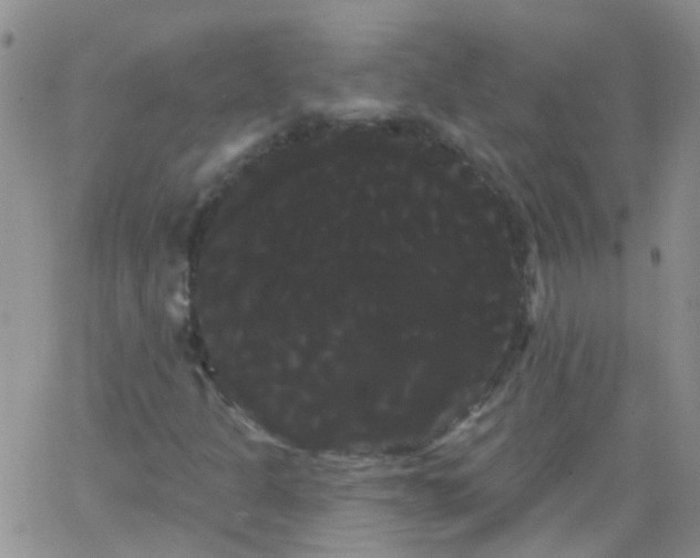 X0000066121301200603171744