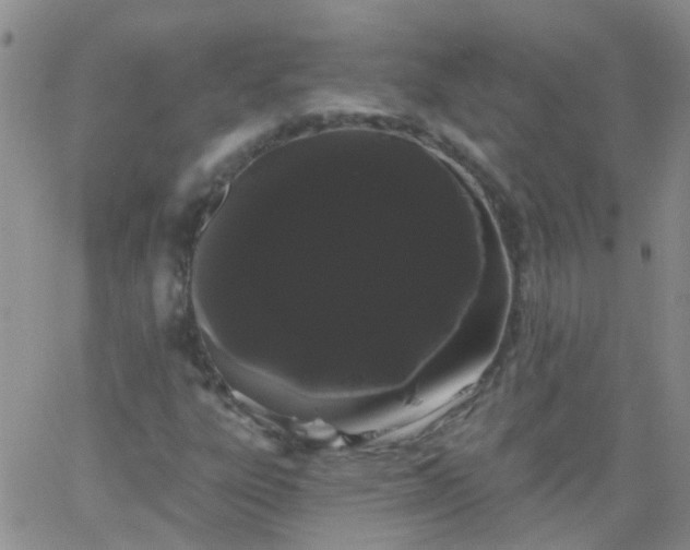 X0000066121303200603171744