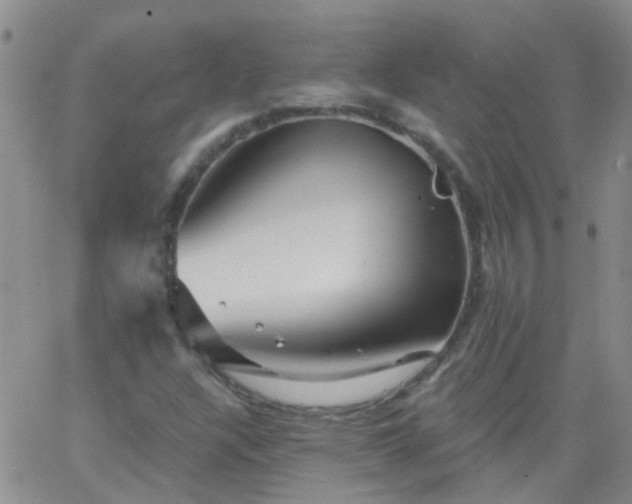 X0000066121304200603171744