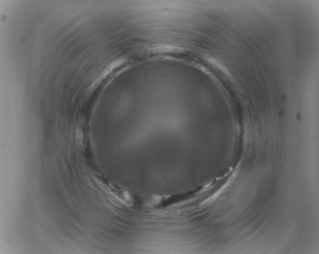 X0000066121305200603171744