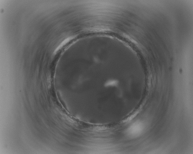 X0000066121306200603171744