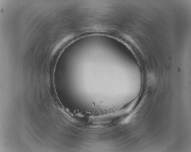 X0000066121307200603171744