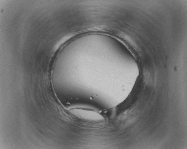 X0000066121308200603171744