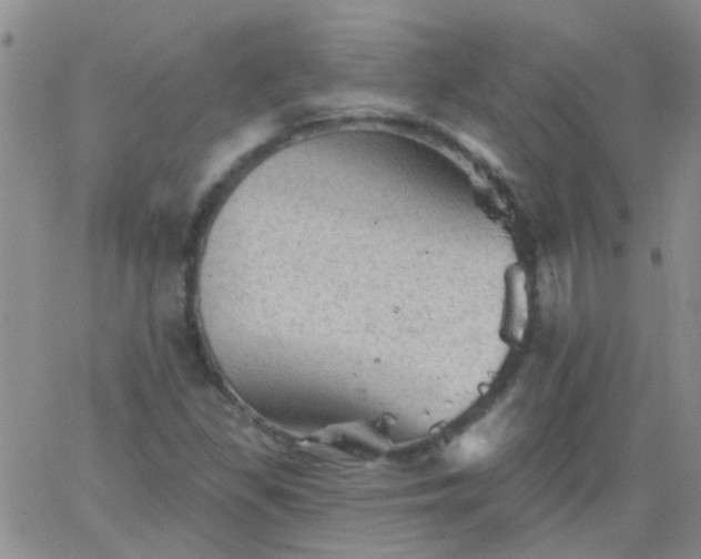 X0000066121309200603171744