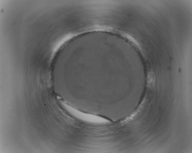 X0000066121310200603171744