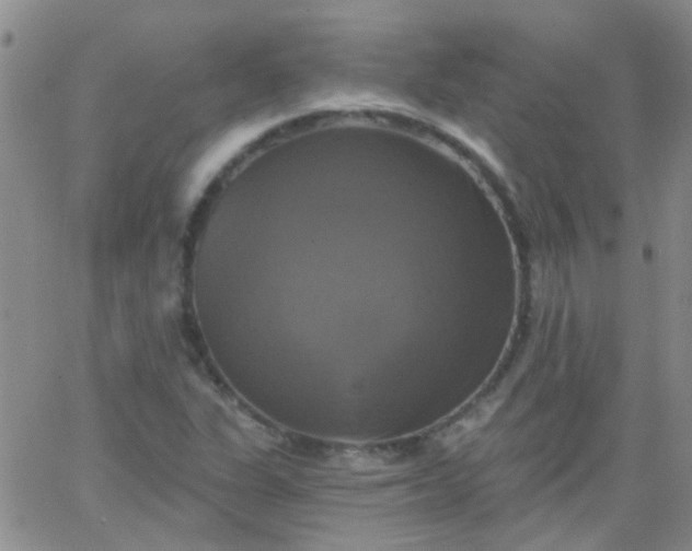 X0000066121311200603171744