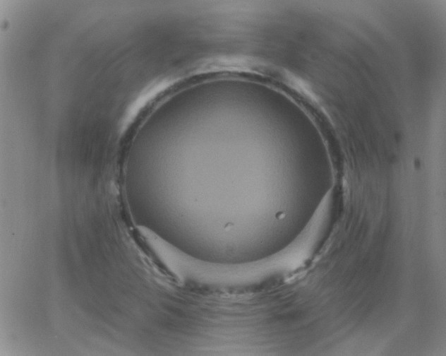 X0000066121312200603171744