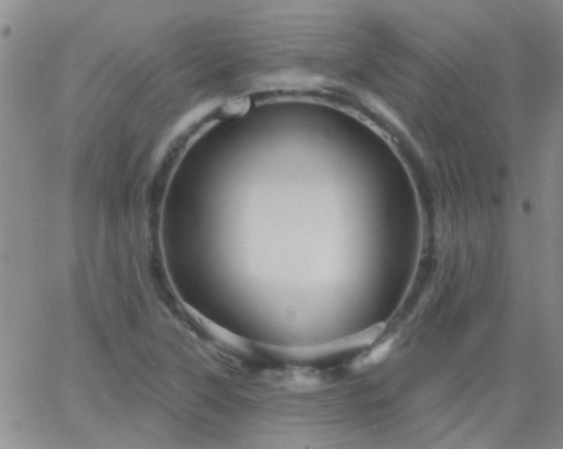 X0000066121315200603171744