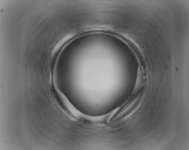 X0000066121317200603171744