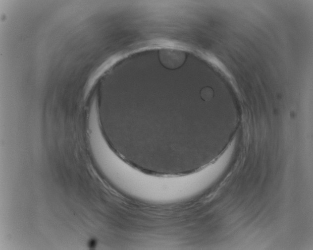 X0000066121318200603171744