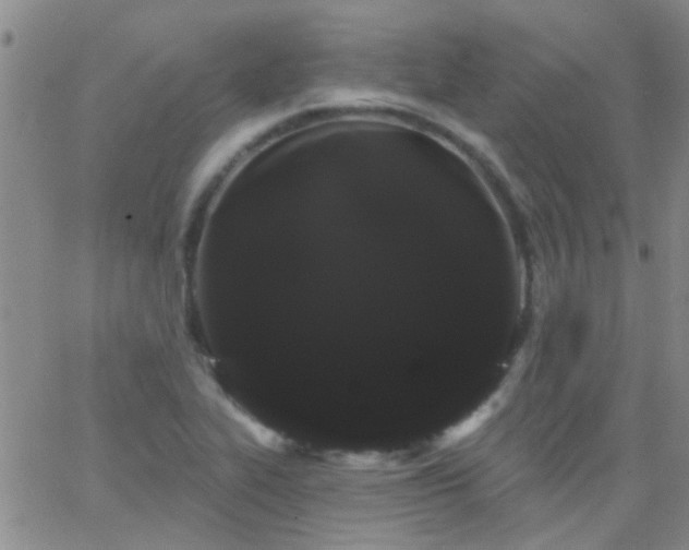 X0000066121319200603171744