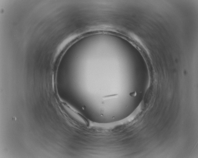 X0000066121320200603171744