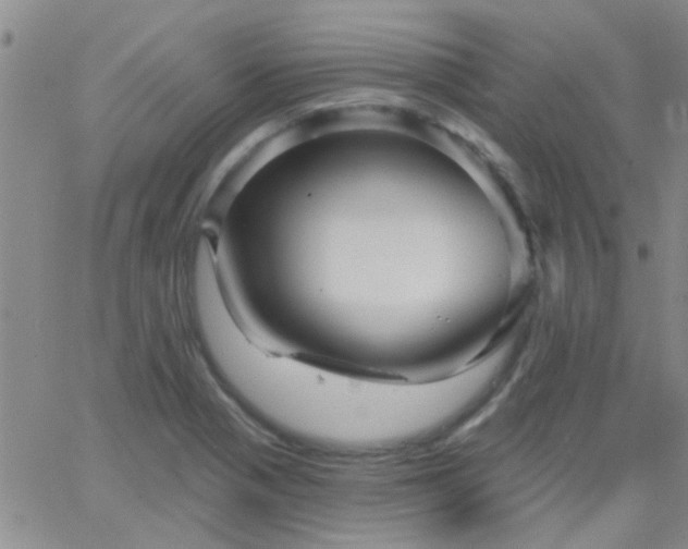 X0000066121321200603171744