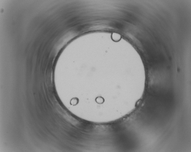 X0000066121322200603171744