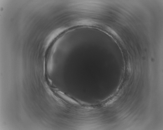 X0000066121323200603171744