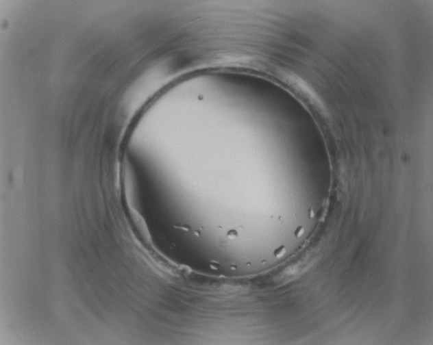 X0000066121324200603171744