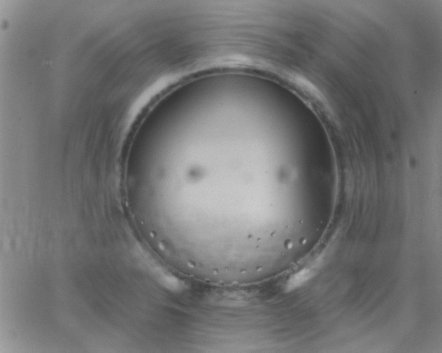 X0000066121326200603171744