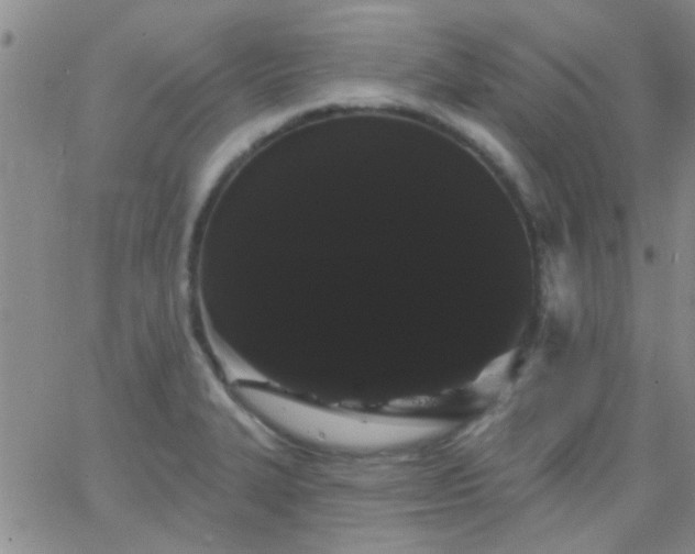 X0000066121327200603171744