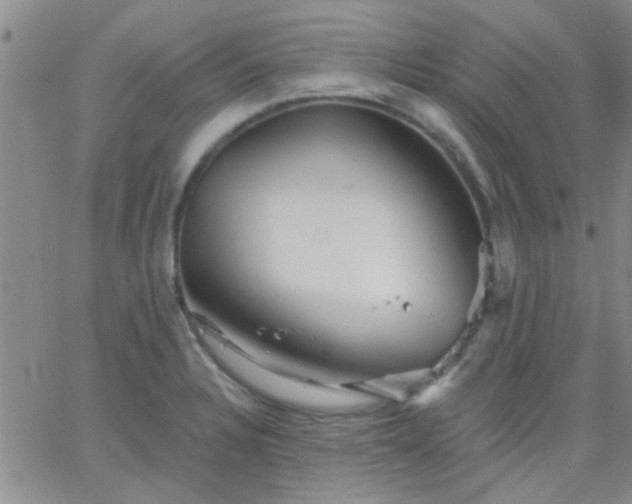 X0000066121328200603171744