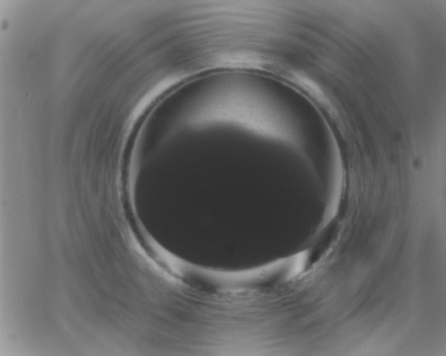 X0000066121331200603171744