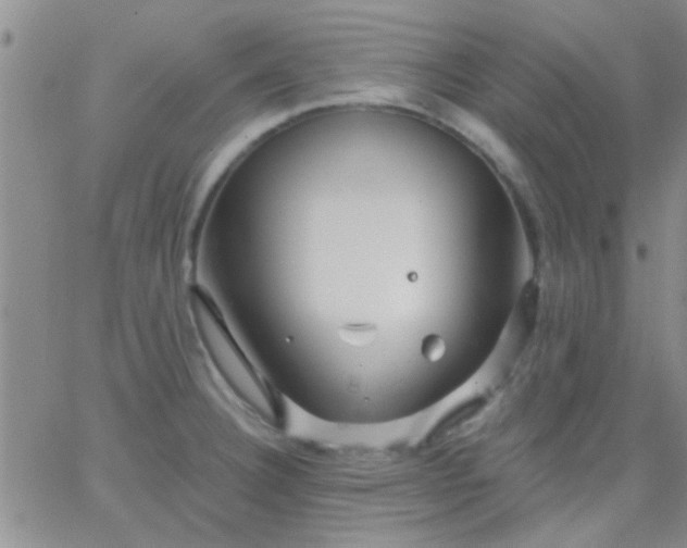 X0000066121332200603171744