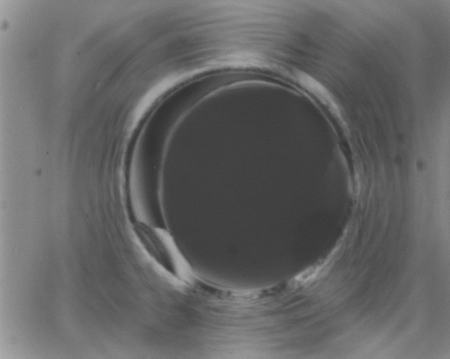 X0000066121334200603171744