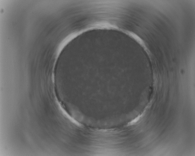 X0000066121335200603171744