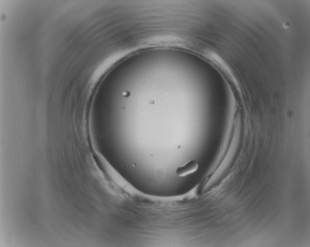 X0000066121336200603171744