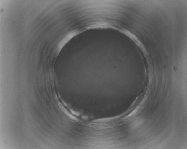 X0000066121337200603171744