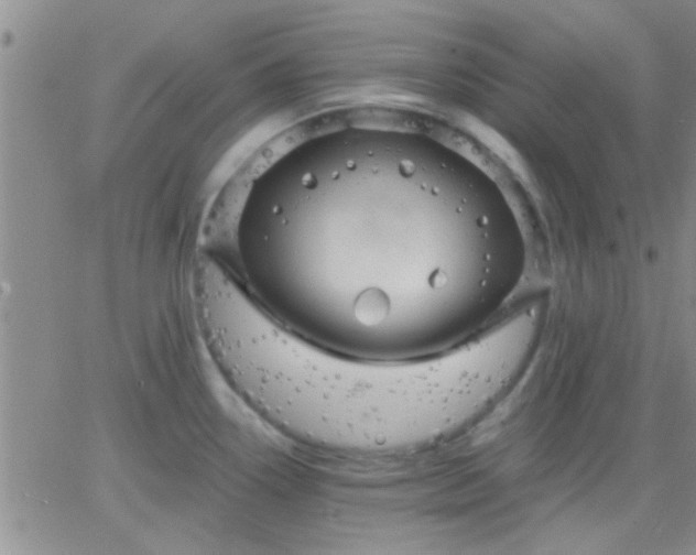 X0000066121338200603171744