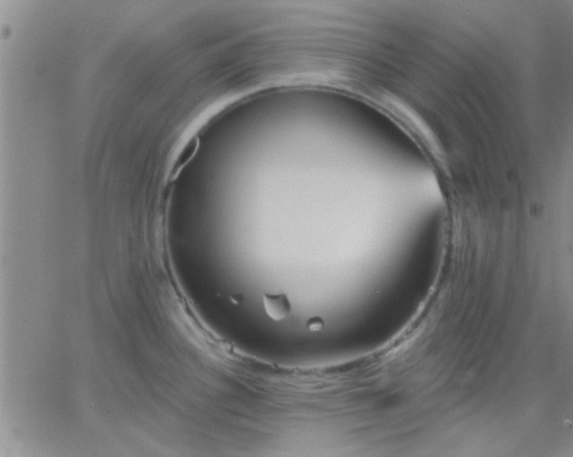 X0000066121340200603171744