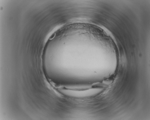 X0000066121341200603171744