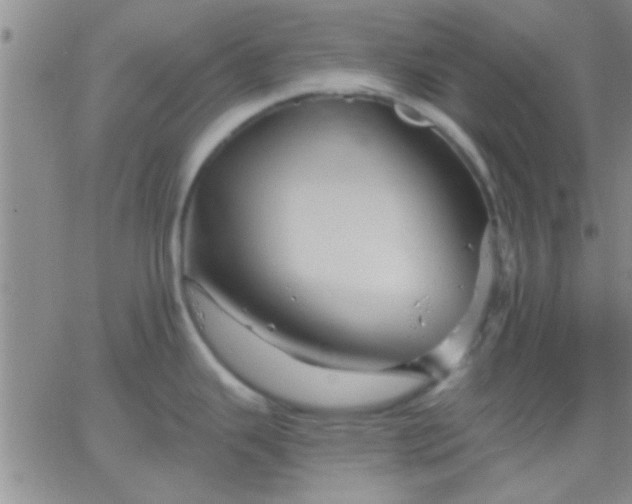 X0000066121343200603171744