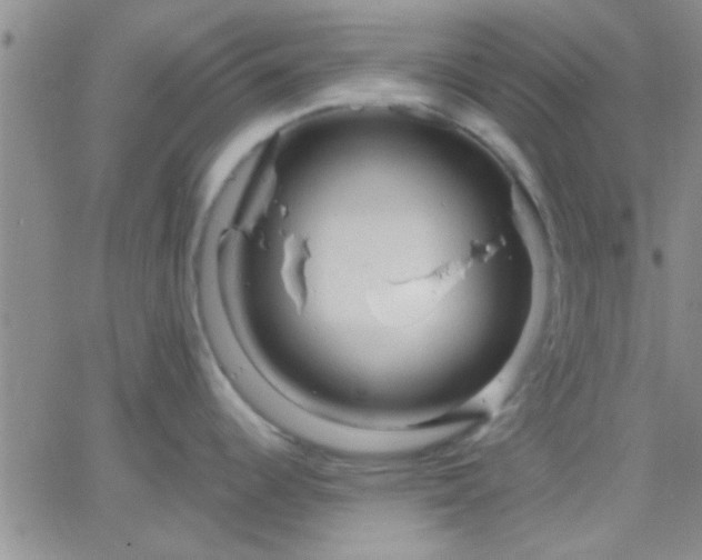 X0000066121344200603171744