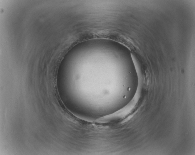 X0000066121345200603171744