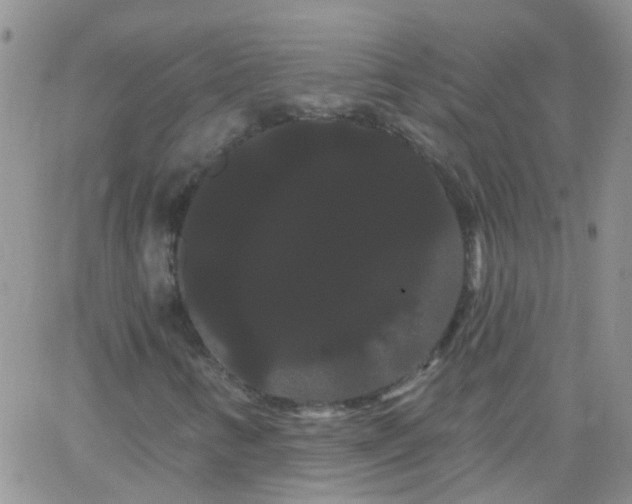 X0000066121346200603171744