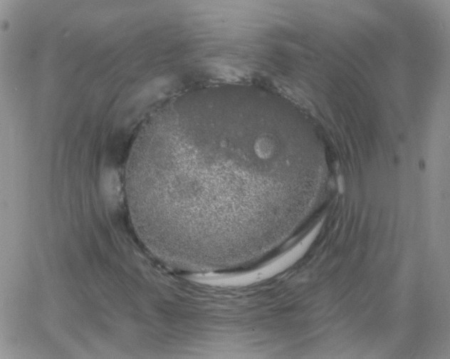 X0000066121347200603171743