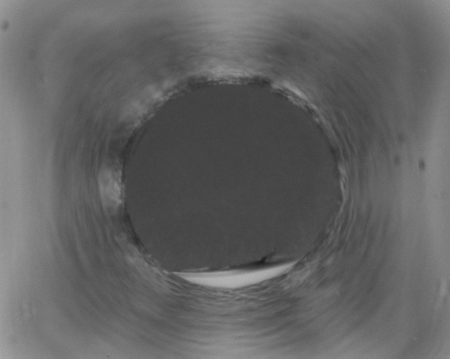 X0000066121348200603171743